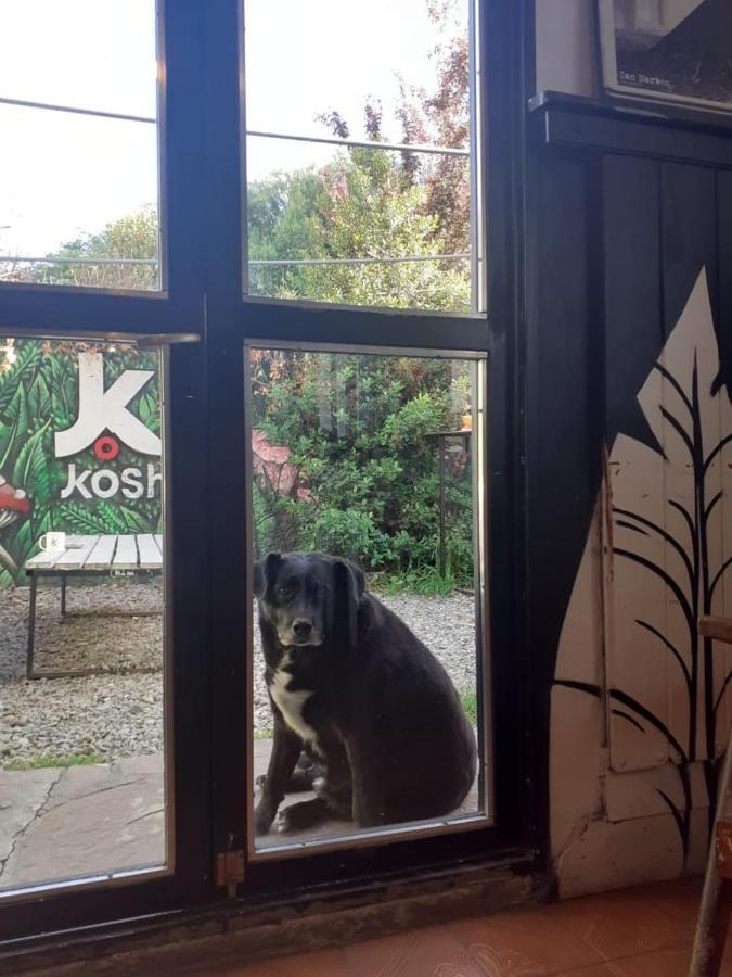 サンカルロスデバリローチェ Koshホステル エクステリア 写真